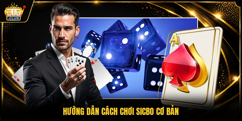 Hướng dẫn cách chơi sicbo cơ bản