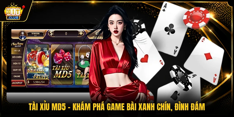 Tài Xỉu MD5 - Khám Phá Game Bài Xanh Chín, Đình Đám