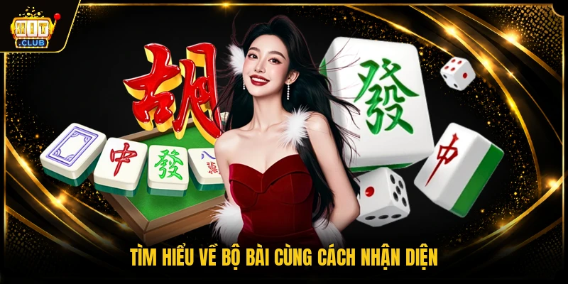 Tìm hiểu về bộ bài cùng cách nhận diện